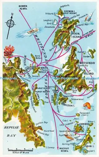 R528676 Whitsunday Passage und Cumberland Island mit Details zu Kreuzfahrten mit M