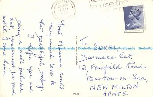 R528934 Zwei Katzen im Korb Postkarte 1978