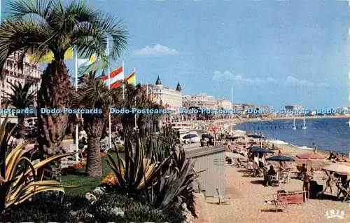 R529246 Reflets de la Cote dAzur Cannes A M La Plage et la Croisette La Cigogne