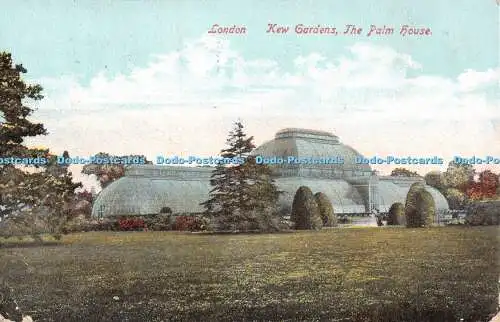 R531036 London Kew Gardens Palm House Empire Series London No 807 1905