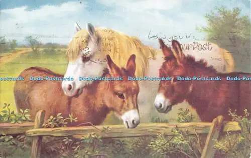 R529352 Pony und Esel Gemälde Lachs 1983