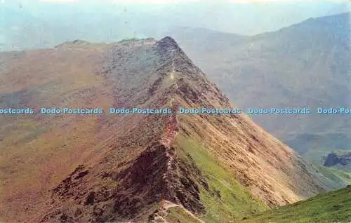 R529386 Riding Edge Helvellyn Colourmaster International Precision Pt21640