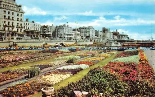 R529428 The Sunken Gardens Brighton PT3198