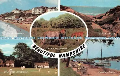 R534897 Beautiful Hampshire Swan Green Lyndhurst J Salmon Multi View