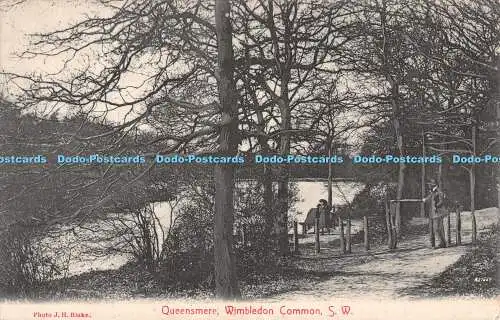 R534940 Queensmere Wimbledon Common J H Blake Idler Own Series of Local Views No