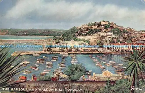 R534950 Torquay The Harbour and Waldon Hill W J Nigh 1952