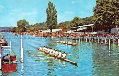 R534991 Henley on Thames The Royal Regatta