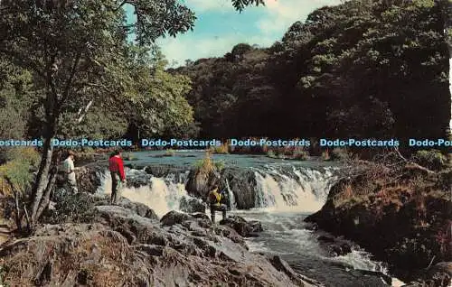 R534992 Cenarth The Waterfalls Photo Precision Colourmaster International 1978