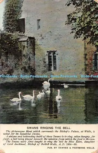 R529852 Swans Ringing the Bell Dawkes and Partridge Wells 1908