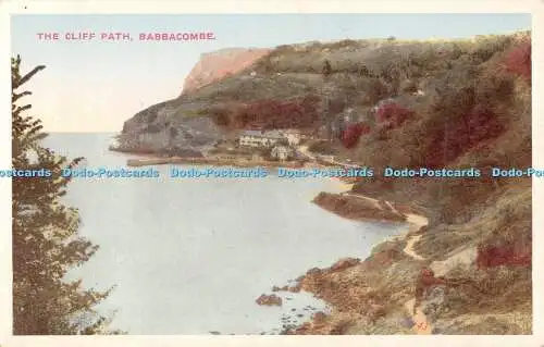 R535063 Cliff Path Babbacombe 43 British Production