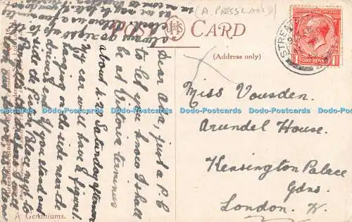 R529913 Geraniums Jame Henderson Greenhouse Studies No 3226 Series A 16 A L Pres