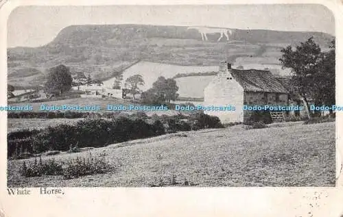 R537749 White Horse 1903