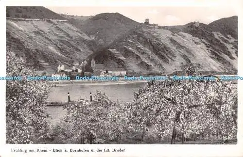 R533070 Fruhling am Rhein Blick a Bornhofen u die fdl Bruder Edm v Koning RP