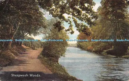 R535184 Sheepwash Woods Fine Art Post Cards Shureys Publications 1910
