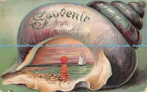 R537880 Souvenir Shell Postkarte