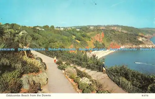 R533433 Oddicombe Beach From the Downs E T W Dennis