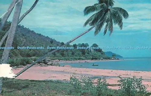 R533571 North Coast Penang P M S Mohamed Noordin 1964