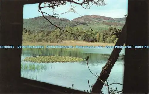 R533746 Blick vom Beobachtungsversteck am Loch of Lowes Dunkeld Perthshire Scottish