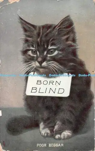 R538550 Born Blind Poor Beggar Tuck Rapholette Serie 8091 1909