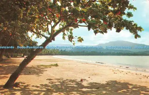 R533830 Schöner Luquillo Strand mit El Yunque Puerto Ricos höchstem Berg pe