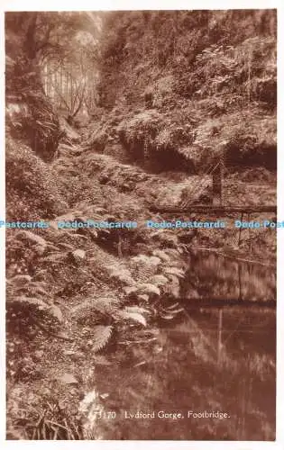 R538715 Fußgängerbrücke Lydford Gorge Friths Serie RP