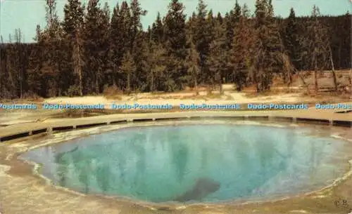 R534169 Morning Glory Pool Yellowstone Park gilt als einer der schönsten