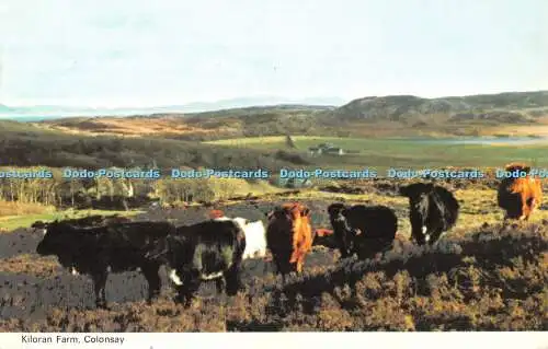 R534182 Colonsay Kiloran Farm E T W Dennis