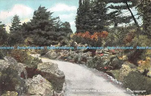 R534468 London Kew Gardens The Rockery G D und D L 1906