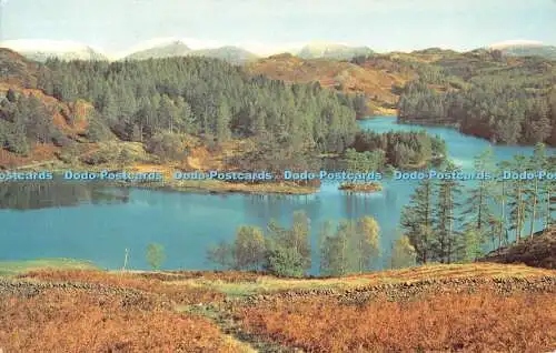 R534597 The English Lakes Tarn Hows Sanderson and Dixon Jarrold 1973