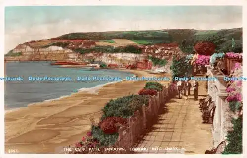 R536777 Sandown The Cliff Path Blick in Shanklin fast Echtfoto Postkarte 19