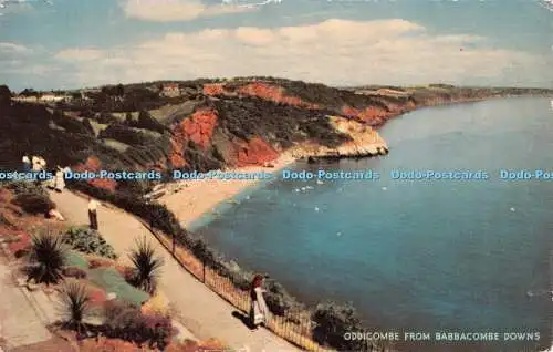 R536890 Oddicombe From Babbacombe Downs J Salmon 1963
