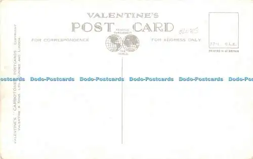 R539610 Landung Stage Totnes 208903 Valentines Carbotone Postkarten