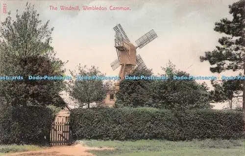 R539906 14327 Windmühle Wimbledon Common O F Stengel