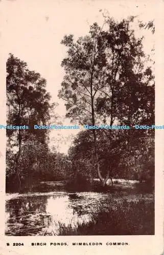 R540243 Wimbledon Common Birch Ponds W H S Kingsway Echtfoto Serie 1917