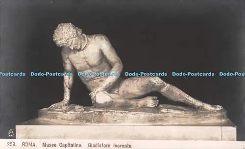 R541117 259 Roma Museo Capitolino Gladiatore morente N P G