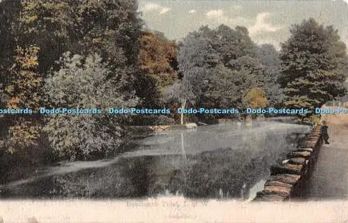 R541238 F G O Stuart Bonchurch Pond I of W 1904