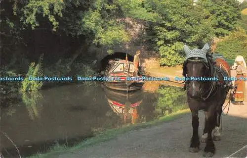 R541325 Traditional Canal Horse D Smith B M Whitehouse 1965