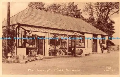 R544983 Sussex Berwick Drusillas The Shop F Frith