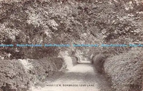 R545077 I O W Bembridge Love Lane The Photochrom Exclusive Sepiatone Series 1920