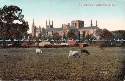 R542692 Peterborough Cathedral From S Published by W