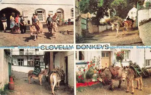 R545182 Clovelly Donkeys J Salmon Multi View