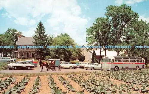 R545202 The Amish Farm and House James E Hess Mitglied Pennsylvania Dutch Tourist