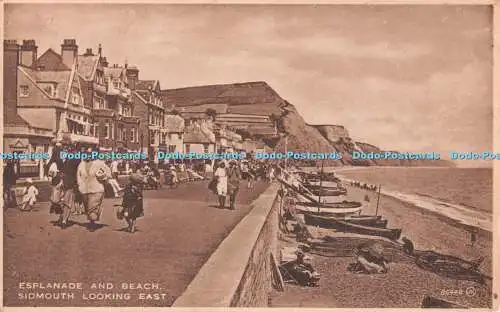 R545242 Esplanade and Beach Sidmouth Looking East Valentine Selectype Series Pic