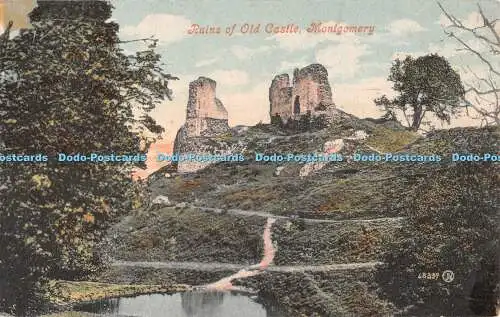 R547095 48339 Ruinen der alten Burg Montgomery Valentines Serie