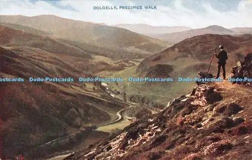R549270 Dolgelley Precipice Walk The Photochrom Celesque Series