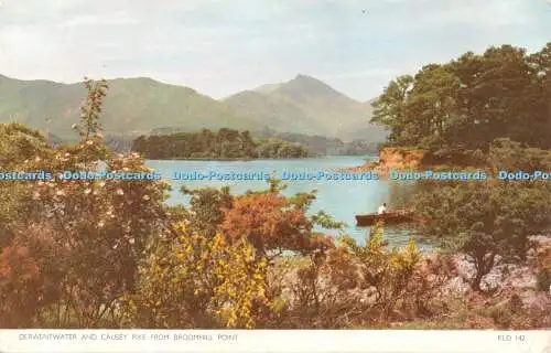 R545477 Derwentwater und Causey Pike von Broomhill Point Sanderson und Dixon Ja