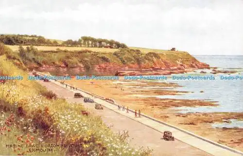 R545483 Exmouth Marine Drive und Orcombe Point J Salmon