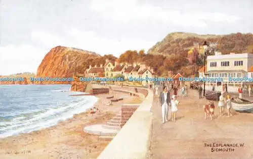 R545486 Sidmouth The Esplanade J Salmon A R Quinton