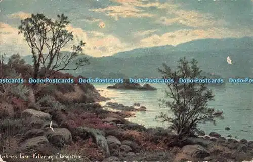 R547405 Muckross Lake Killarney E Longstaffe S Hildesheimer No 5231