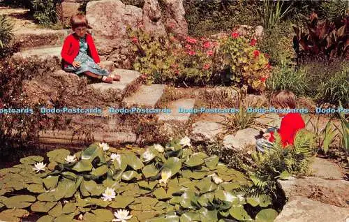 R543182 Scilly The Gardens Tresco F E Gibson Natural Colour Series